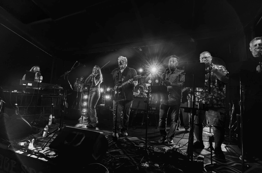 Mr. Blink performing live on stage with guitar, fiddle, keyboards, saxophone, trumpet, and drums under bright stage lights